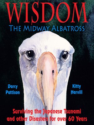 cover image of Wisdom, the Midway Albatross